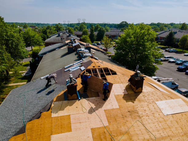 Trusted Roof Replacement service in Stella, NC - Brentwood Metal Roofing
